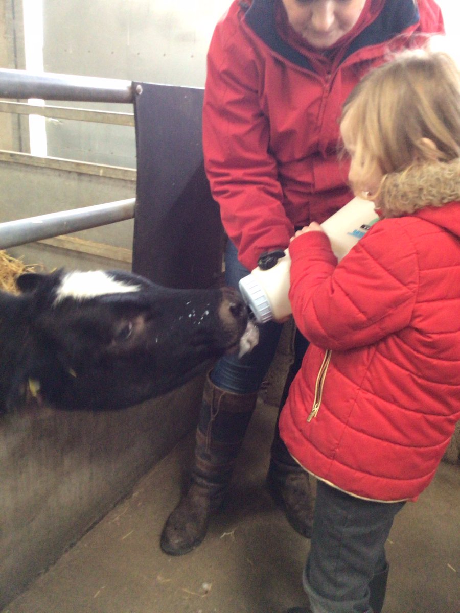 Year 2 at Rand Farm <a href="/DeltaWeelsby/">Weelsby Academy 🌈</a>