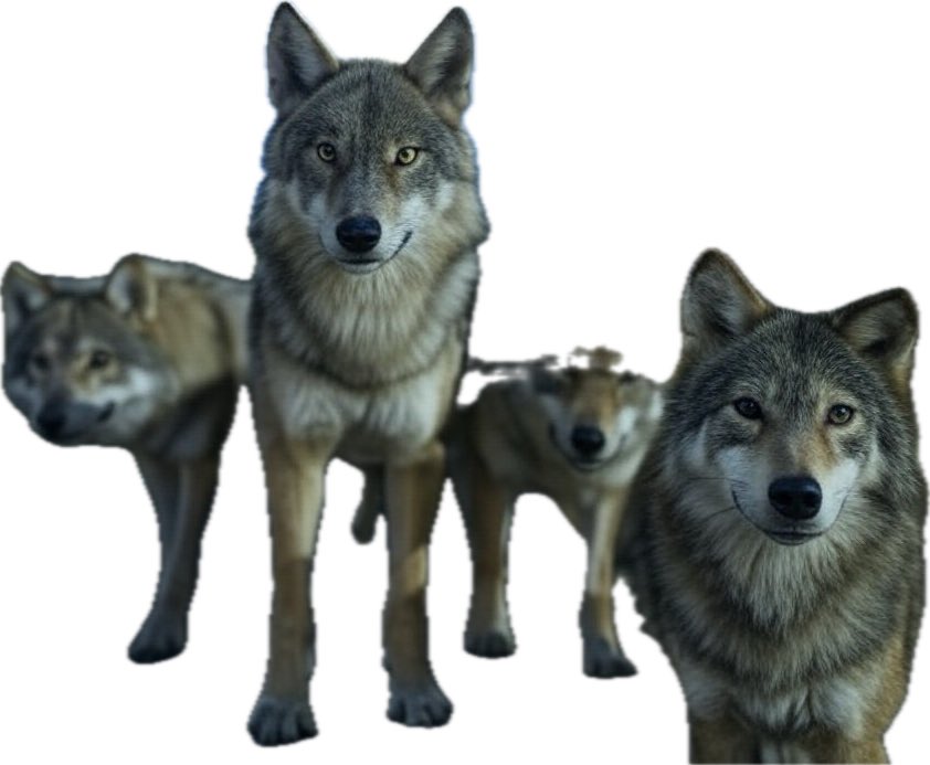 You looking for trouble?