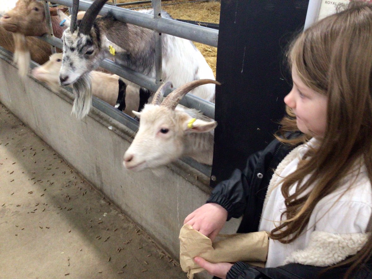 Year 2 had a lovely day at Rand Farm <a href="/DeltaWeelsby/">Weelsby Academy 🌈</a>