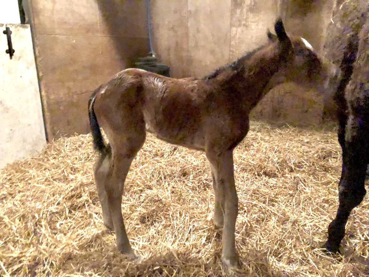 tim Cooper tweet media