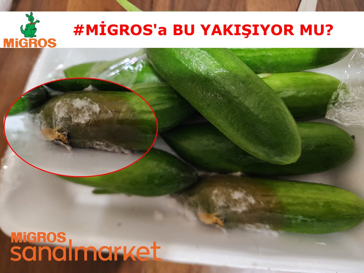 Bugün (15.02.2025) Migros Sanal Market’ten 588617992 Sipariş numarası ile aldığım Hıyar Badem’in paketin alt tarafına 2 tane #ÇÜRÜK saklamışlar. BU #MİGROS ‘a YAKIŞIYOR MU? 

#MigrosSanalMarket #SanalMarket #MigrosHemen #TicaretBakanlığı <a href="/ticaret/">T.C. Ticaret Bakanlığı</a> #Şikayet #Migros <a href="/Migros_Turkiye/">Migros Türkiye</a>