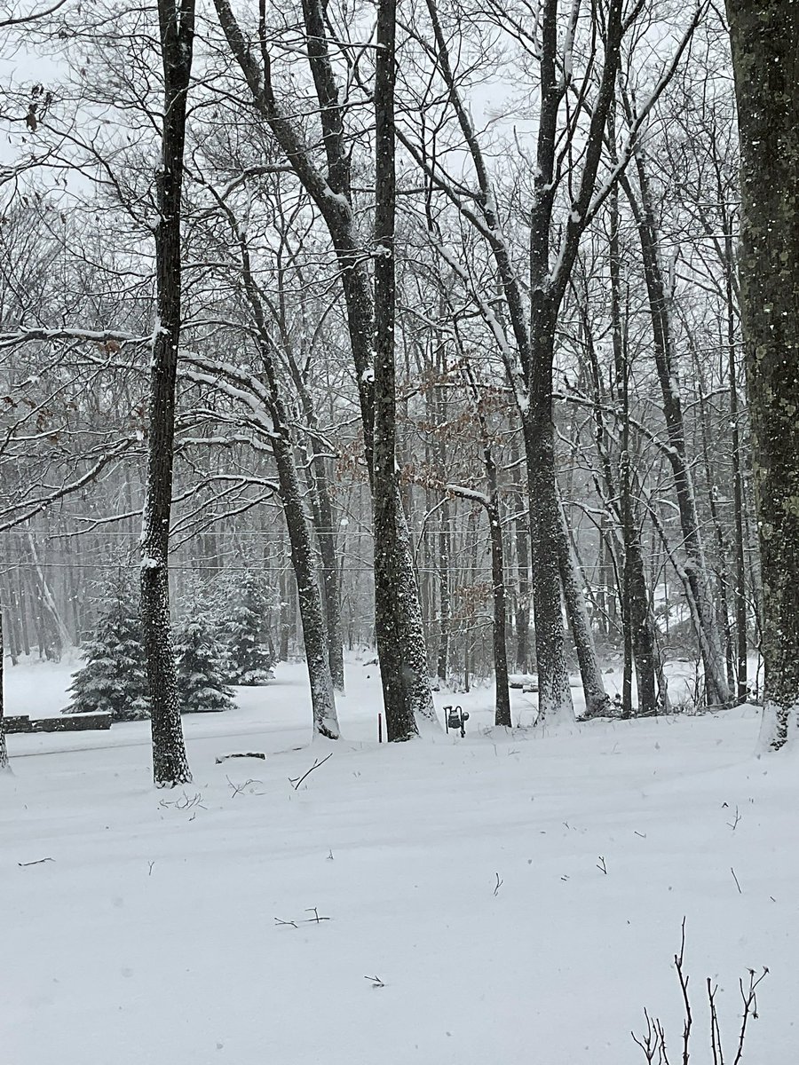 Another snow day in Western PA.