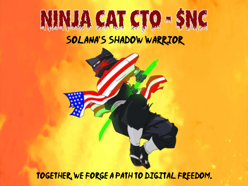 Ninja Cat CTO - $NC tweet media