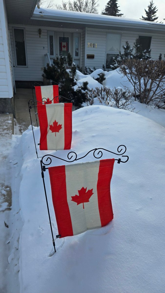 Happy Flag Day 🇨🇦 
#CanadianFlag 
#FlagDay
🍁