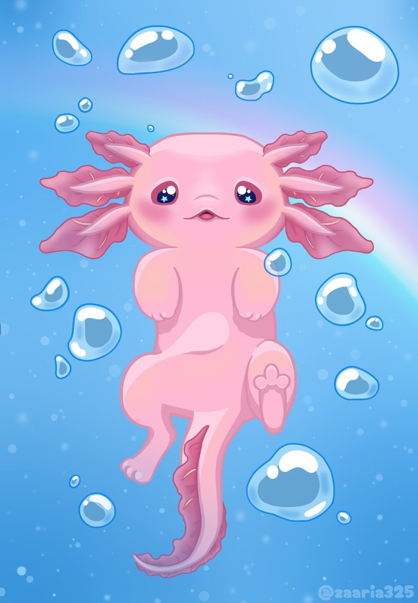 zaaria325's tweet photo. Cute aksolotl z pierwszego arcika z Idolką dorobił się własnego tła (akwarium).🫧🥹 #digitalartwork #axolotl https://t.co/Q6JM9QgGu6