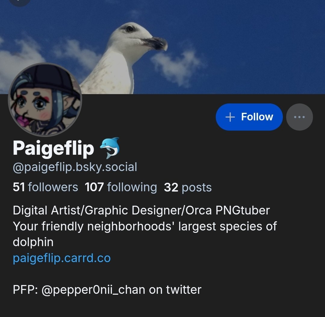 PaigeFlip 🐬 tweet media