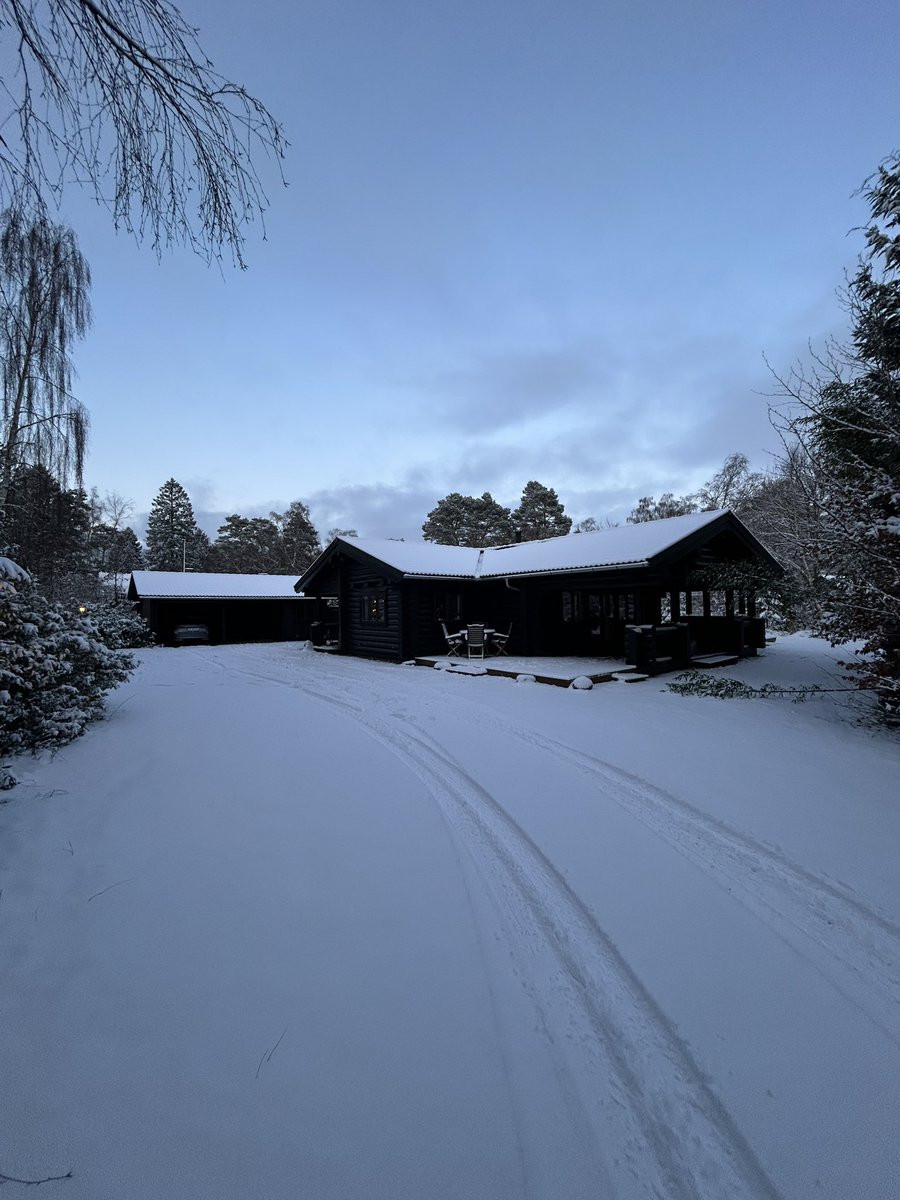 The Municipal Oracle tweet media