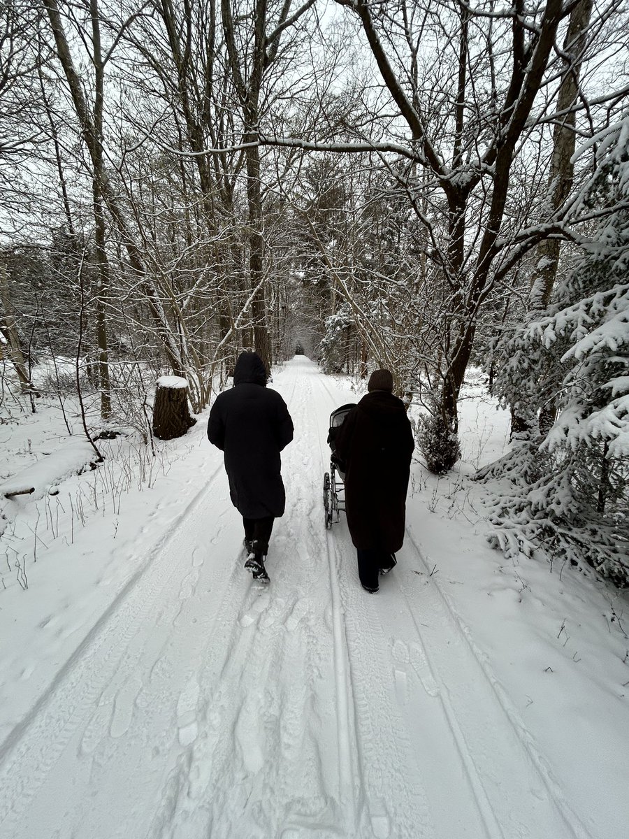 The Municipal Oracle tweet media