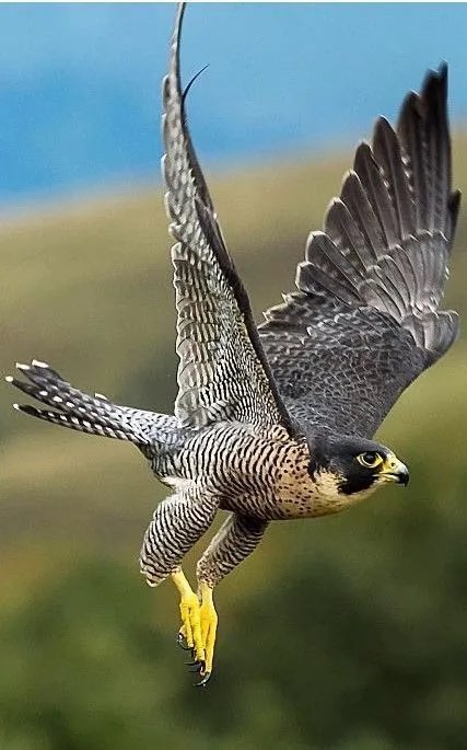 شوق♡︎ tweet media