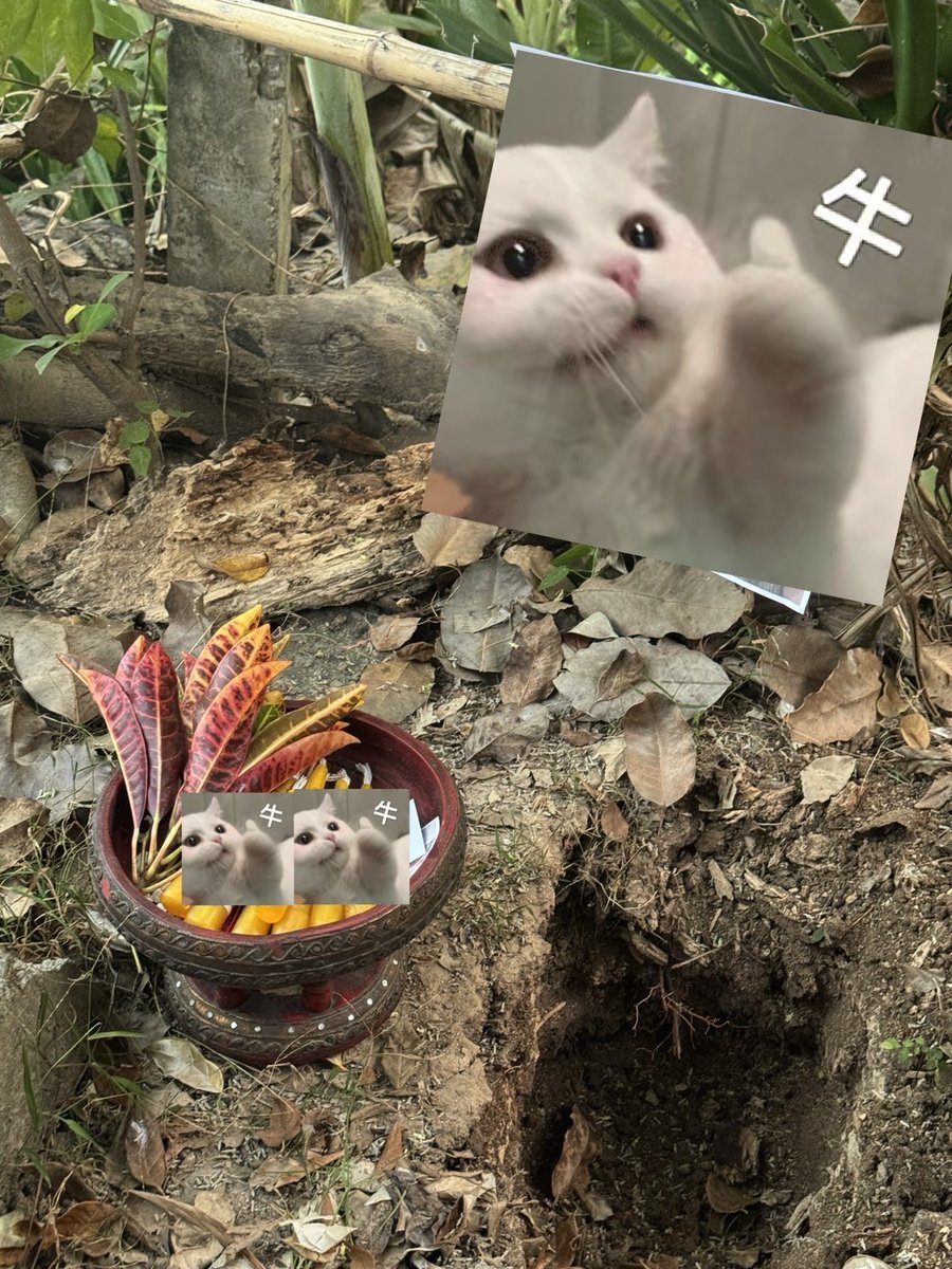 Ying1amulets's tweet photo. 阿贊南碟師父情降蠟燭小法事
師父說這個蠟燭不是普通的蠟燭，以前從來沒有給外國人點過，都是給當地人點，反饋很好，會製作7根蠟燭，每天點一根，連續點7天，7天點完效果相當於一場小法事的效果，甚至有些師父做的情降法事都不如這個蠟燭的力量
#泰國情降 #情降蠟燭 #泰國蠟燭 #情降法事 #感情挽回 https://t.co/NYadL86T8o