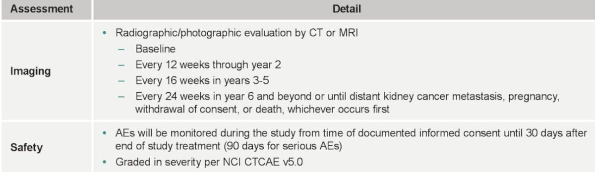 urotoday's tweet image. #INTerpath-004: A Phase 2, Randomized, Double-Blind Study of Adjuvant Pembrolizumab (Pembro) With V940 (mRNA-4157) or Placebo for #RCC. Presentation by @motzermd @MSKCancerCenter. #GU25 written coverage by @chavarriagaj &amp;gt; bit.ly/4hEKdCf