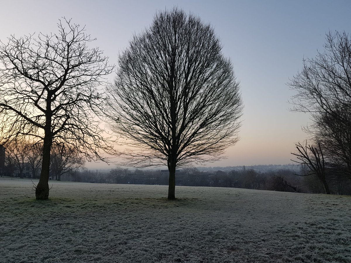 What's happening at the Sunflower Centre?
Find out in our latest Newsletter:
shorturl.at/8QCgy

#buildingworks  #BAATN #traumatherapy   #antenataleducation #hypnobirthing #alexandertechnique #pilatesstudio #backhealth #yogaforpainmanagement #ceativewriting #gongbath #TRE