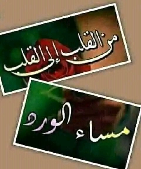 نحن لا نتغير ونبقى كما كنا.
      في حبنا.وودنا..وطيبتنا.
 فنحن من زمن جيل الطيبين..وتبقى الطيبه عنواننا.. وهويتنا..وخاصه من احببناهم. وعشقنا قربهم.
فالطيبون كلما أرادوا أن يصبحوا سيئين فشلوا.
لأن بداخلهم بذرة صغيرة .
تسمى الضمير.هي تمنعهم.

🌻أسعٍدِ آلُِلُِه مسآئڪ بَآلُِخـيرٍ 🌻