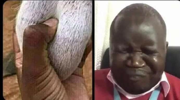 OmegaKitti's tweet photo. @ntvkenya https://t.co/fIf7tJRwLE