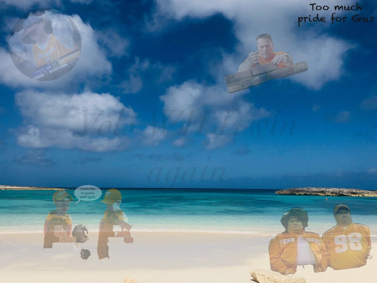 JoeMo4's tweet image. V-O-L-S