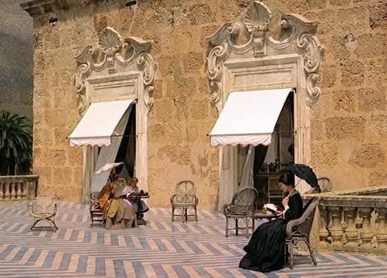 Gato Preto 🐈‍⬛ tweet media