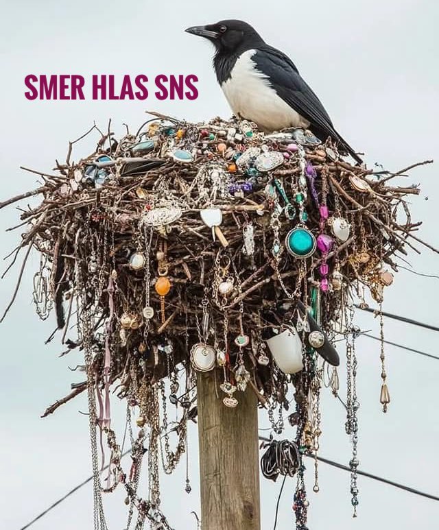 Nohybaj's tweet image. Neukradne nemá, robiť nevedia nič. 🦹🏻‍♂️🦹‍♀️ #nohybaj #deges