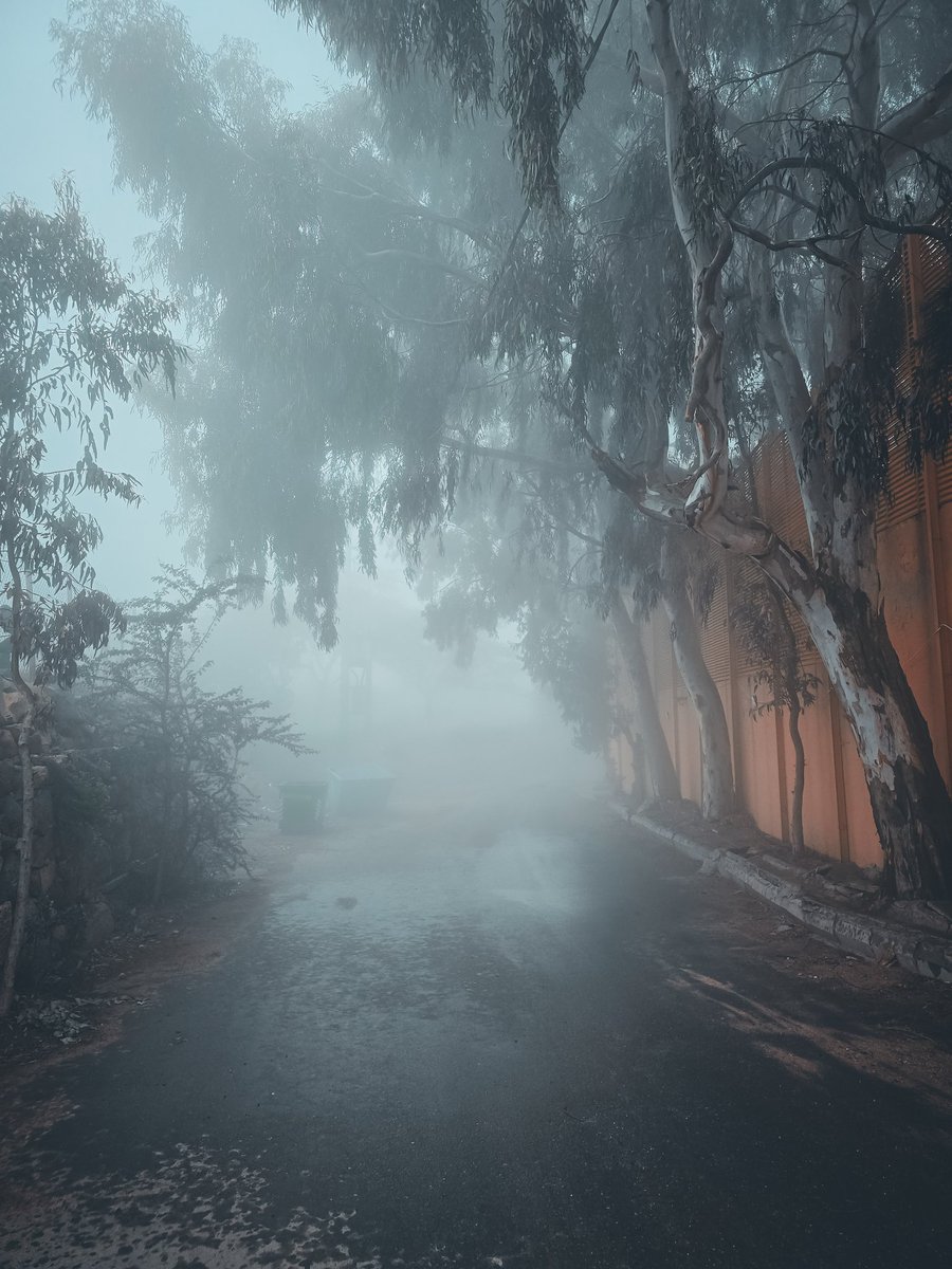 ضباب ومطر وقهوة