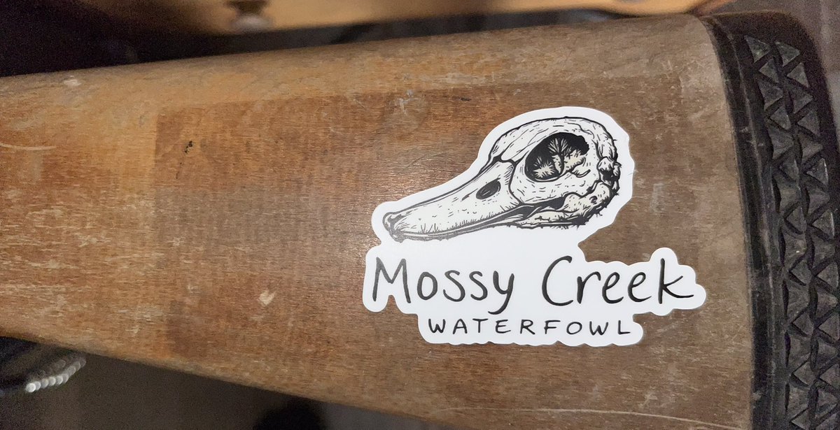 Lots of character on this old 870. If only it could talk. It has never failed me in 20+ years of waterfowl hunting in some of the harshest conditions. 
#Waterfowl #Remington