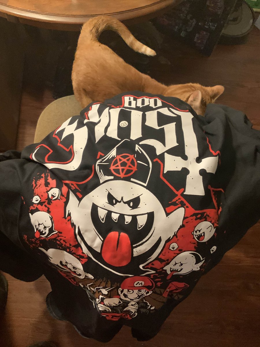 Engorgio2's tweet image. All the way from Brazil! Thanks @JaydenzOmega for sending it to me. Ziggy approves of the new Ghost shirt