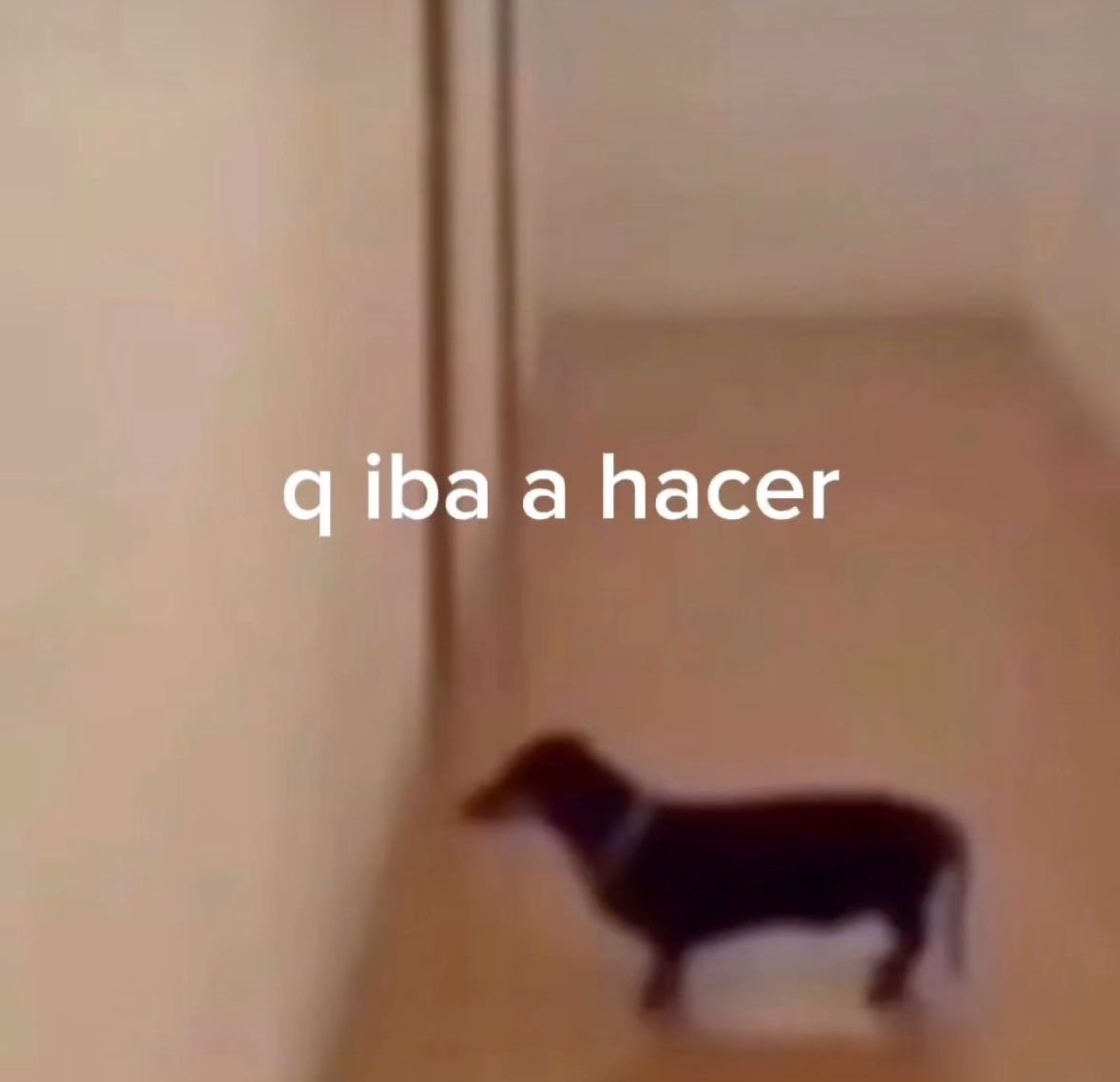 soy ese