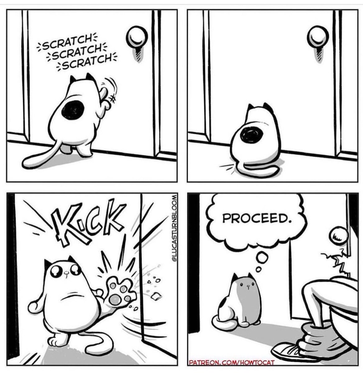 HOW TO CAT: “Privacy”
Happy #Caturday everyone!
.
Subscribe on Patreon!
patreon.com/howtocat