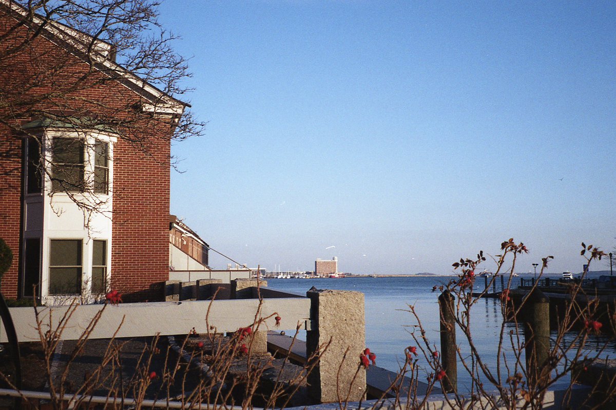 35mmfilmslides tweet media