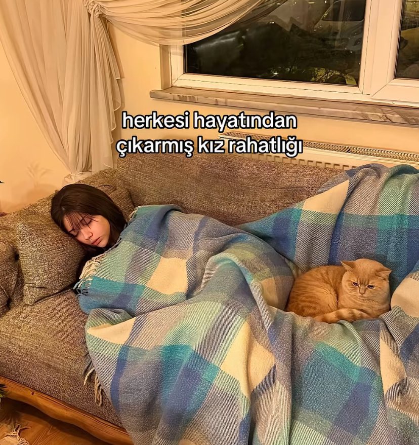 Alya (@alyareckles) on Twitter photo 