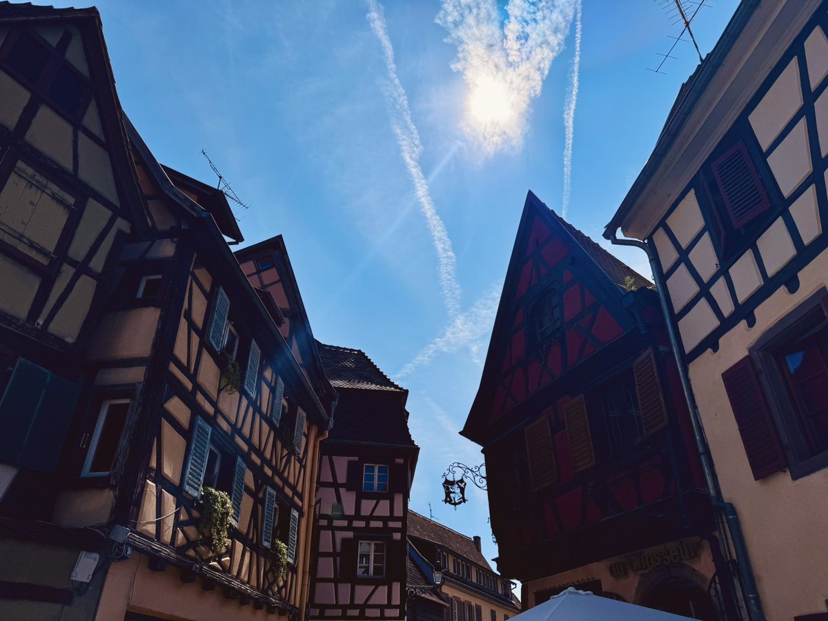 cado's tweet photo. bright light - #colmar #alsace #france
inst: @cadoeva
.
#summer Agosto 2024
.
#vacation #summertime #trip #street #architecture #landscape #heritage #nature #visitalsace #visitcolmar https://t.co/kAI9AhcYa7