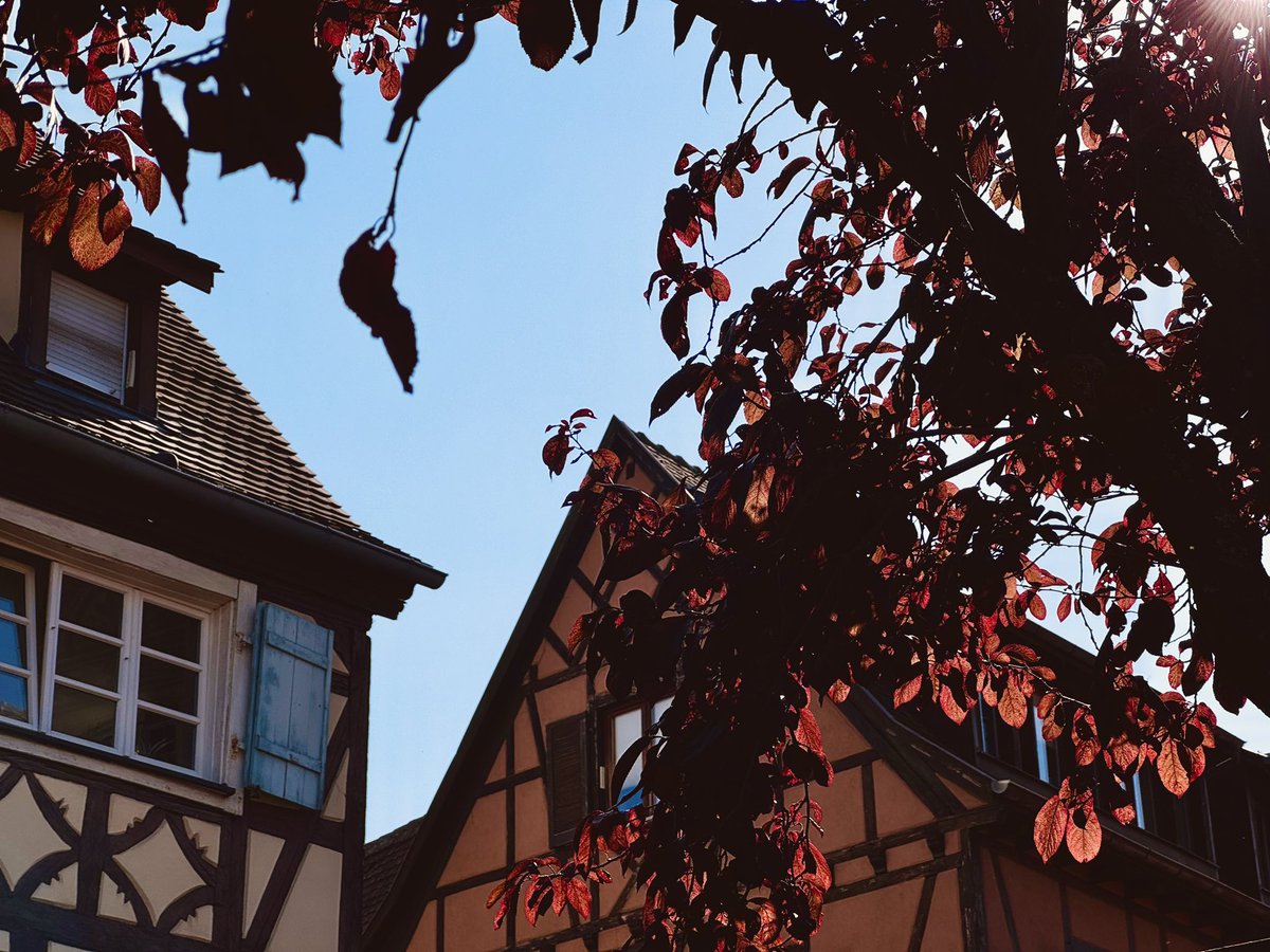 cado's tweet photo. bright light - #colmar #alsace #france
inst: @cadoeva
.
#summer Agosto 2024
.
#vacation #summertime #trip #street #architecture #landscape #heritage #nature #visitalsace #visitcolmar https://t.co/kAI9AhcYa7
