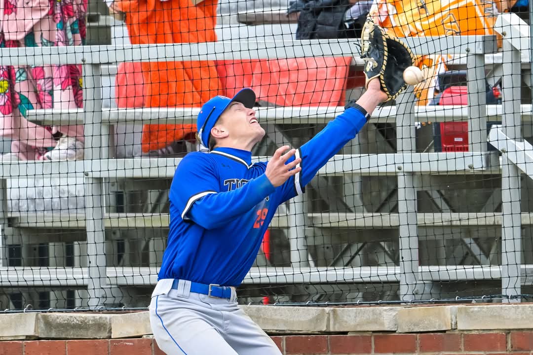 TN Baseball Report tweet media