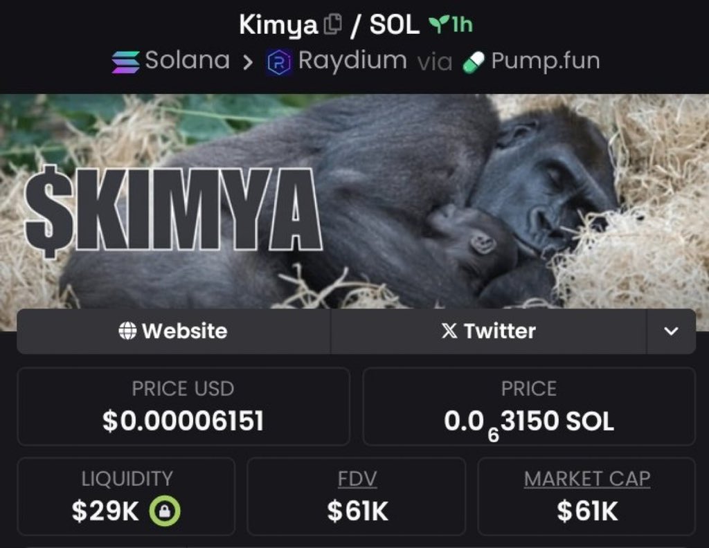 TokenTycoon01's tweet photo. ALPHA⬇️
Aped $kimya at $61k mcap in my private tg
This is not a real time call...You might lose money if you buy this coin now❗️
Dm to join my private tg for real time calls at perfect entry price!🎯
$barron $mxyz $Eddie $deep $ACE $libra $arc #FartCoin #giga #APPCOIN #trump https://t.co/h2dlqDPTyG