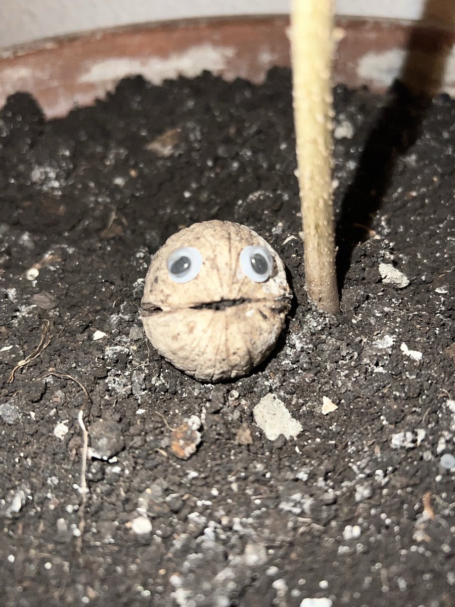 Paul (my name is NOT Phil!) (@kickboxerlad) on Twitter photo 