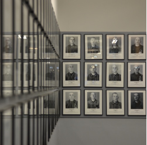 Auschwitz Memorial tweet media