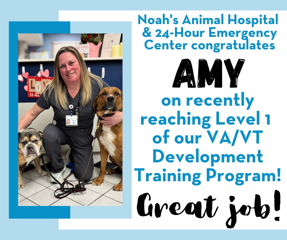 Congratulations, Amy! 🥳👏🎉