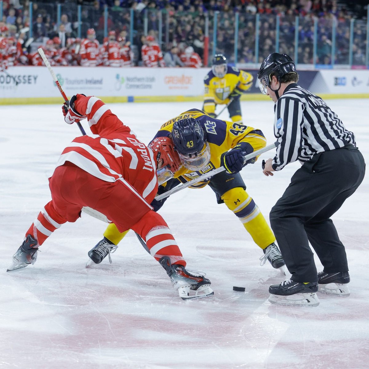 Belfast Giants (@belfastgiants) on Twitter photo π’ Have you got your <a href="/Friendship_Four/">Friendship Four</a> weekend pass?
The 4οΈβ£ teams competing to win the Belpot trophy have been locked in so it's time to secure your ticketsβΌοΈ
<a href="/MiamiOH_Hockey/">Miami Hockey</a> | <a href="/SHUHockey/">SHU Hockey</a> | <a href="/Unionmhockey/">Union College Men's Hockey</a> |<a href="/RITMHKY/">RIT Men's Hockey</a>
The four NCAA Division I men's college ice hockey teams will π’ Have you got your <a href="/Friendship_Four/">Friendship Four</a> weekend pass?
The 4οΈβ£ teams competing to win the Belpot trophy have been locked in so it's time to secure your ticketsβΌοΈ
<a href="/MiamiOH_Hockey/">Miami Hockey</a> | <a href="/SHUHockey/">SHU Hockey</a> | <a href="/Unionmhockey/">Union College Men's Hockey</a> |<a href="/RITMHKY/">RIT Men's Hockey</a>
The four NCAA Division I men's college ice hockey teams will