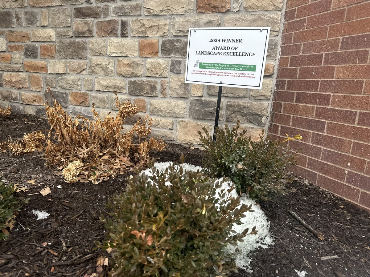 Stephen Cross tweet media