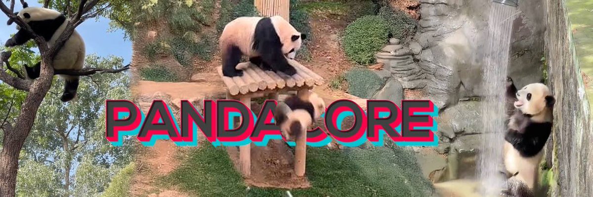 <a href="/gordongekko/"></a> $pandacore
#pandacore

Dont fade panda 🐼🐼🐼

Pandas taking over tiktok, now the memecoin trenches. 1m+ potential 

Good entry, 30k mc 

6wCrmbStU3fbFvY64UsPKhABdkJLFzcBYgEoWpABpump