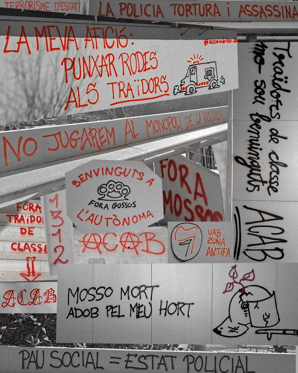 Assemblea (Bio)Ciències tweet media