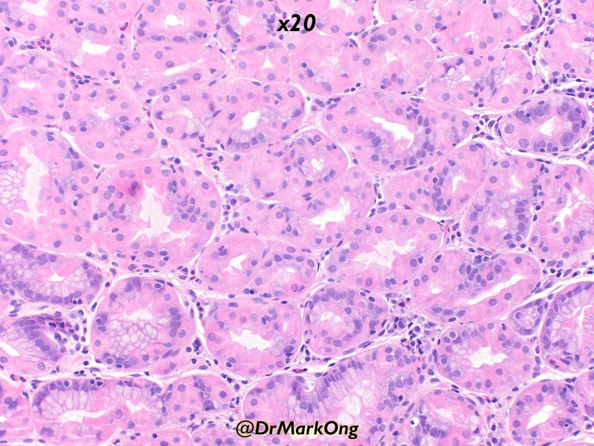 Mark Ong tweet media