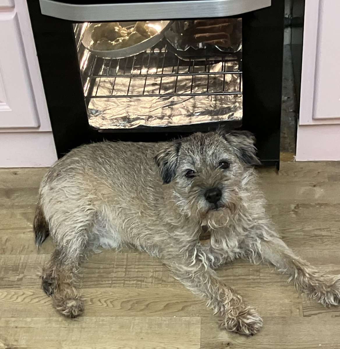 On guard as there sausages cooking in the oven 😊😋