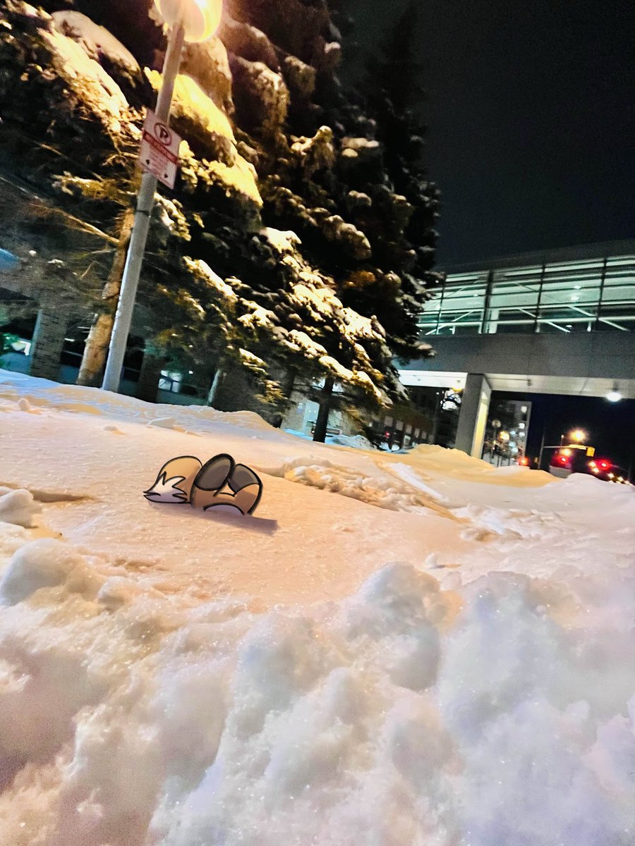 conflagphoenix's tweet photo. snowy night in toronto https://t.co/jvhxnr6AUU