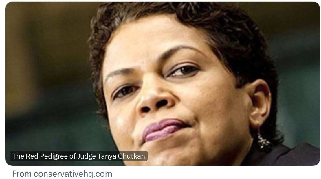 dmills3710's tweet image. The Red Pedigree of Judge Tanya Chutkan

by Diana West

“Chutkan, Jon Levine [of New York Post] writes, is nothing less than &quot;the scion of a family of revolutionary Marxists in her native Jamaica.&quot;

@realDianaWest 
conservativehq.com/post/the-red-p…