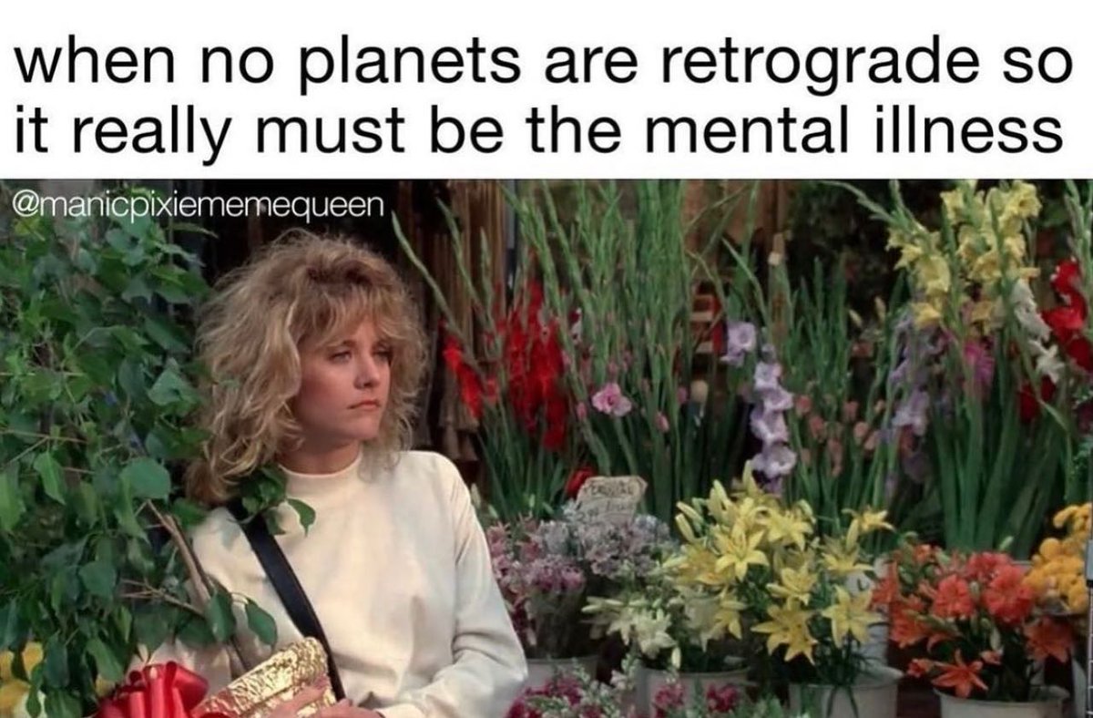 intuitiveangels's tweet photo. Damn.... I'm sure it must be PRE-SHADOW retrograde I'm feeling then, right?? 😂 😂 😂

#astrology
#zodiac
#signs
#planets
#retrograde
#empath
#soul
#spirit
#spirituality
#soullesson
#soulmate
#vibes
#meme
#memes https://t.co/Tm2HMc7HZT