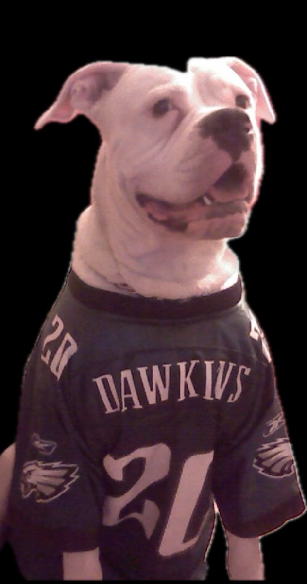 rothfuss2's tweet photo. @PHLDawgs @SmithNoland2 @Swaggidavis https://t.co/ZrBd88EuDn