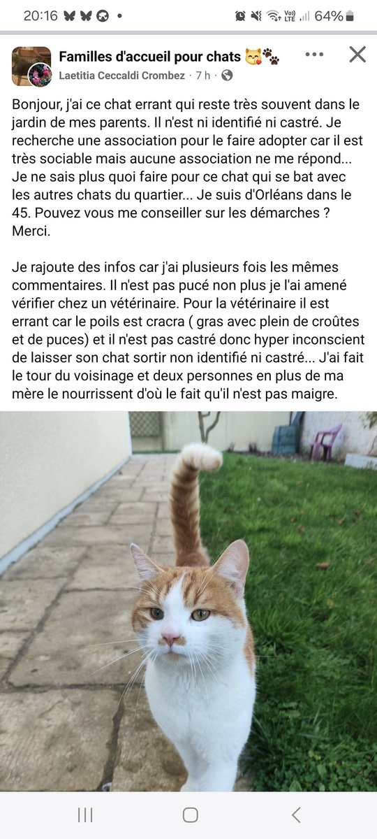 Je tente un coup de poker, mais une asso dans le 45 proche Orléans pour ce minou sociable non castré/identifié ?
Si vous pouvez RT les amis !