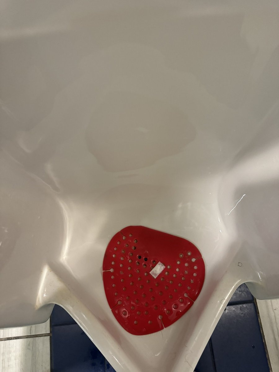 Someone left me a Valentine’s Day gift 🥰