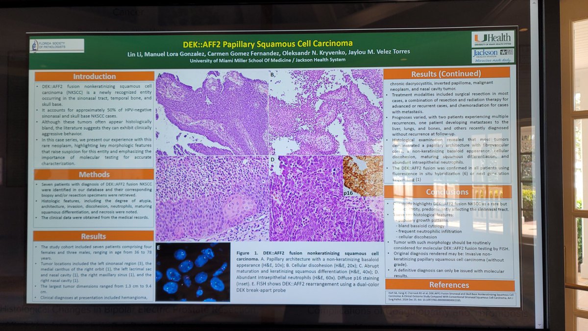 Jaylou M. Velez Torres, MD 🇵🇷🇺🇸 tweet media