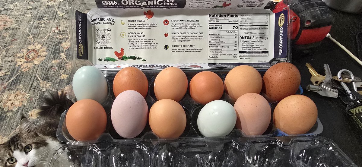 Michael Lipp tweet media