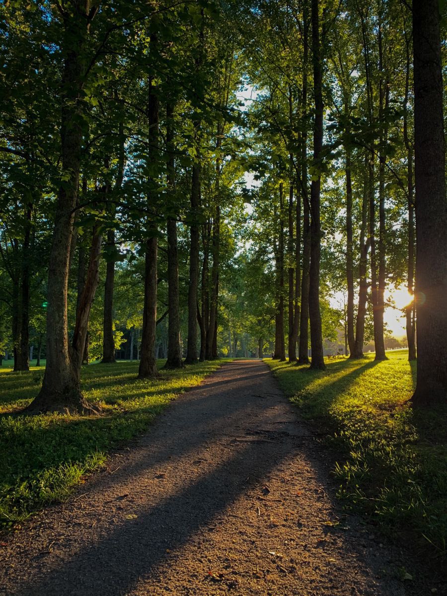 earthcurated's tweet photo. 🍃💚 https://t.co/dXKziEhTrD